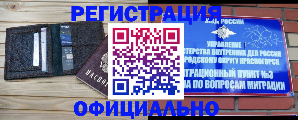 купить прописку в Пушкино